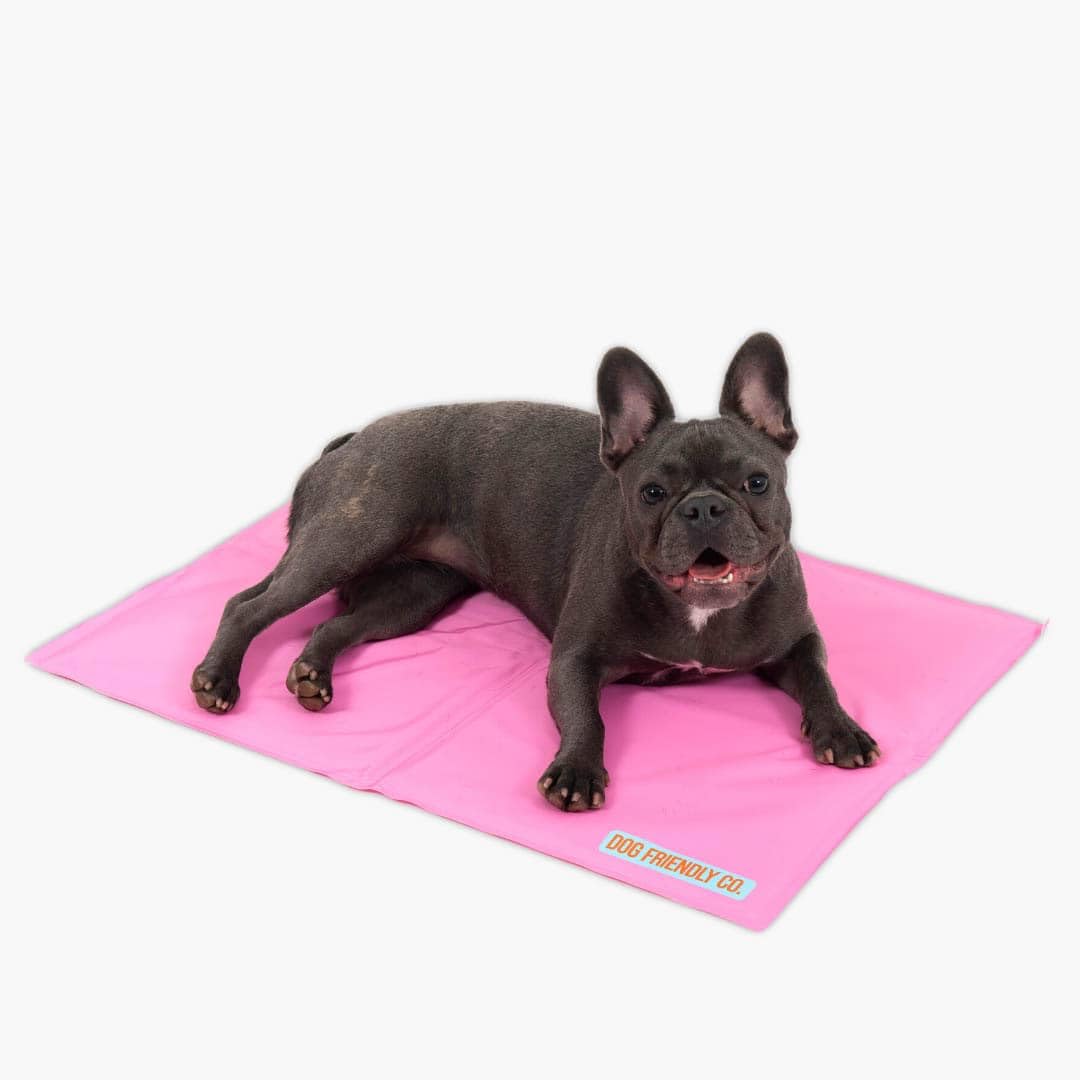 Df Co. Dog Cooling Mat For Summer | Automatic Cooling, Easily Foldable, Non-Toxic Gel Interior | Pink, Size L