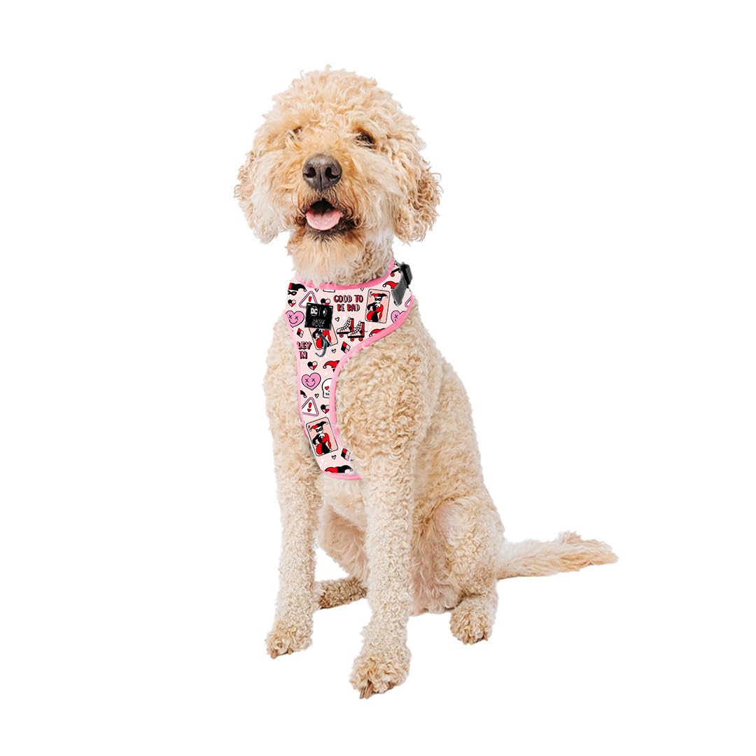Sassy Woof Dog Adjustable Harness - Harley Quinn - L, Breathable Mesh, No Pull Design With Two D-Rings, Patented Design, Ideal F