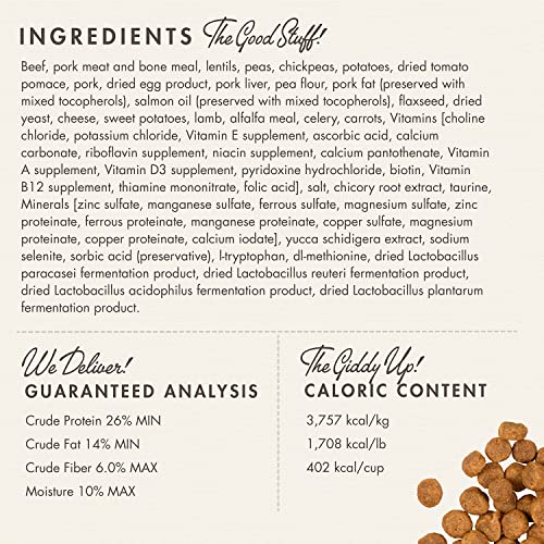 Fromm Heartland Gold Large Breed Puppy Dry Dog Food - Dry Puppy Food for Large & Giant Breeds - Beef Recipe - 26 lb
