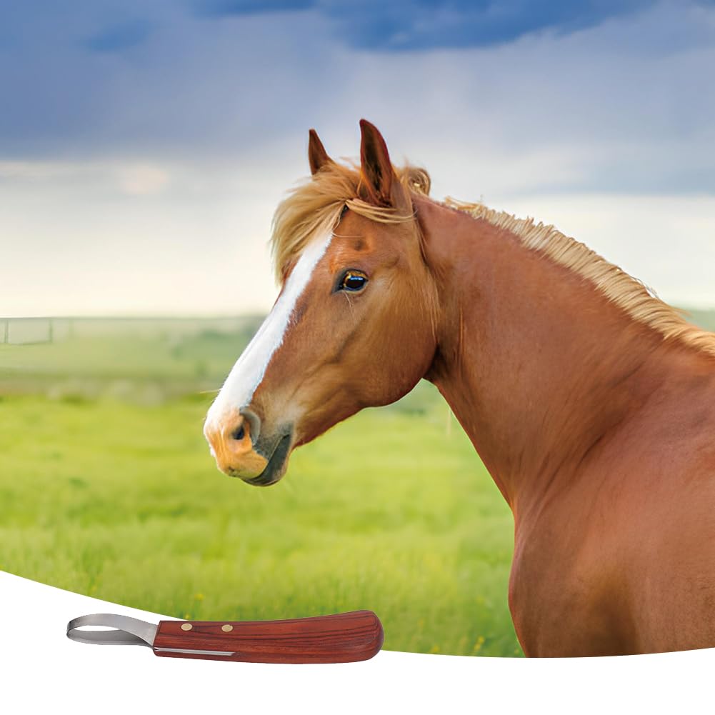 Leopacat Goat Hoof Trimmers, Hoof Knife for Horses, Hoof Trimmers for Goats and Sheep with Wooden Handle Horse Farrier Tool Non