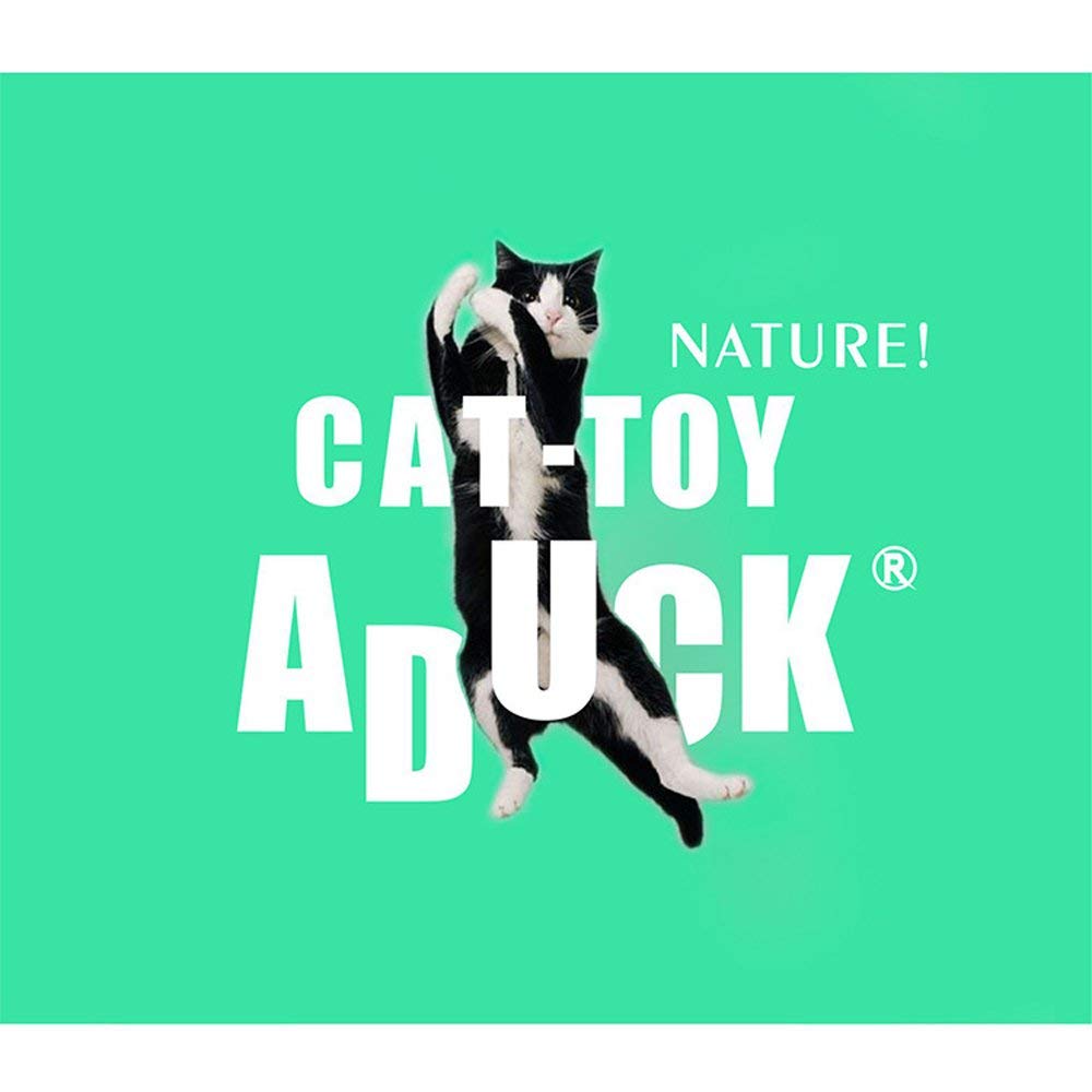 Aduck Cat Toys Interactive Teaser Wand Toy With Tassels Worms Catcher For Cats Kitten, Pack Of 3 (Gold + Blue + Pink)