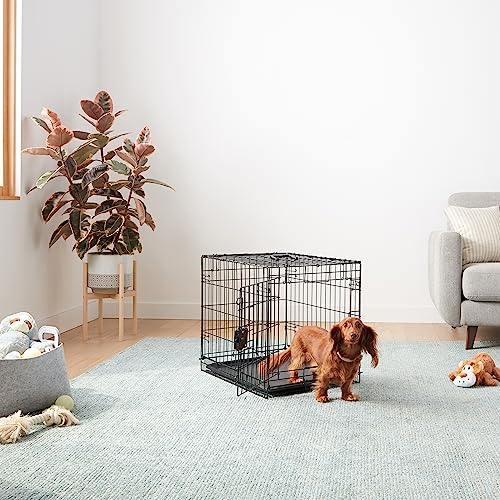 Amazon Basics Durable, Foldable Metal Wire Small Dog Crate With Tray, Single Door, 24 X 18 X 20 In, Black