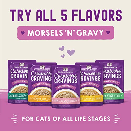 Stella & Chewys Carnivore Cravings Morsels & Gravy Chicken & Chicken Liver Recipe Wet Cat Food Pouches - (2.8 Ounce Pouch, Case