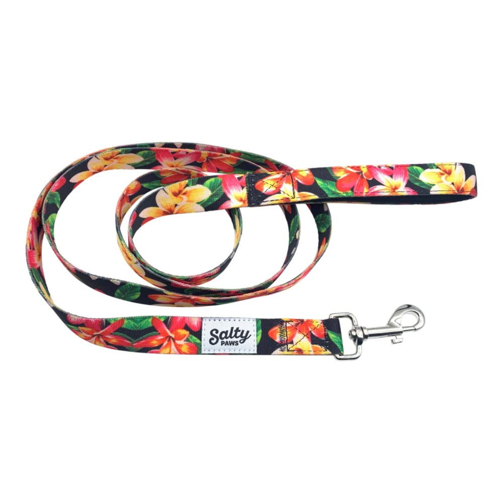 Salty Paws Floral Print Dog Leash Heavy Duty Padded Handle For Small, Medium, Large Dogs Matching (Large 6' For Dogs 50-90 Lbs.,