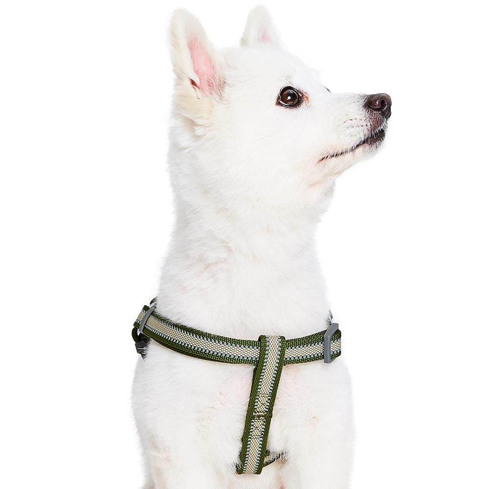 Blueberry Pet Essentials Step-in Reflective Back to Basics Dog Harness, Dark Olive, Chest Girth 16.5 - 21.5, Small, Adjustable H