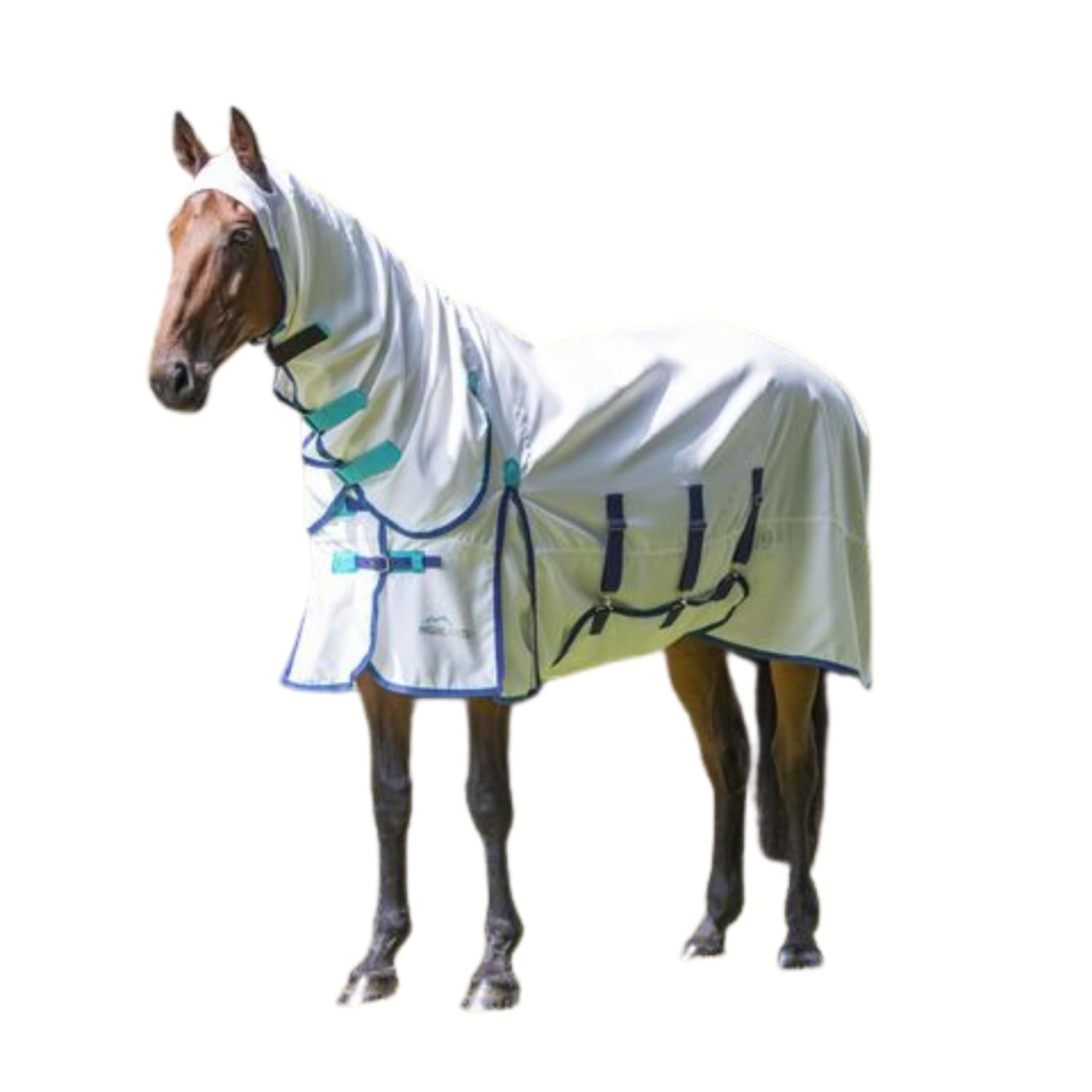 Highlander Plus Sweet-Itch Combo Sheet (White, 60)