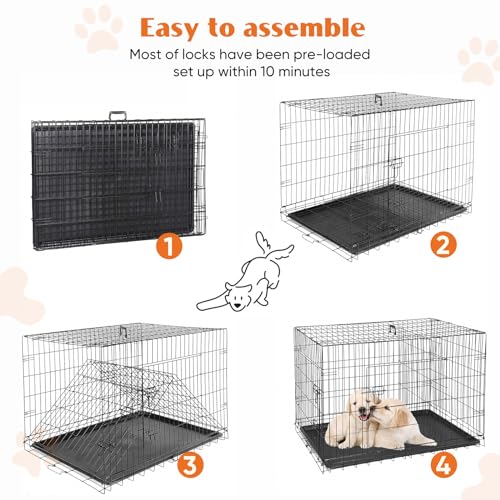 Sweetcrispy 24-Inch Double-Door Iron Dog Crate - Heavy-Duty Metal Kennel With Secure Locks, Foldable Design, & Removable Tray Fo