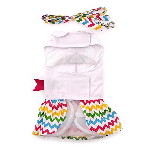 Doggie Design Ice Cream Cart Dress W/Matching Leash (Small)