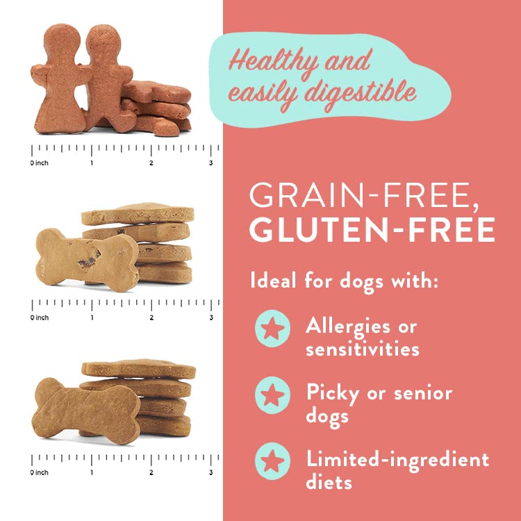 Portland Pet Food Company Natural Dog Treats Variety Pumpkin Gingerbread & Bacon Dog Biscuits - Grain-Free, Human-Grade Healthy