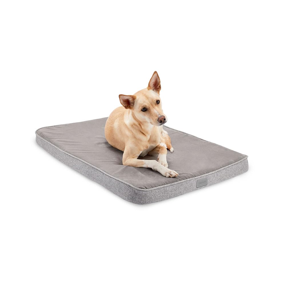 Diggs Snooz Memory Foam Dog Bed - Ideally Sized Revol Dog Crate Pad - Premium Orthopedic Pet Bed For Crate Or Home - Grey, Inter