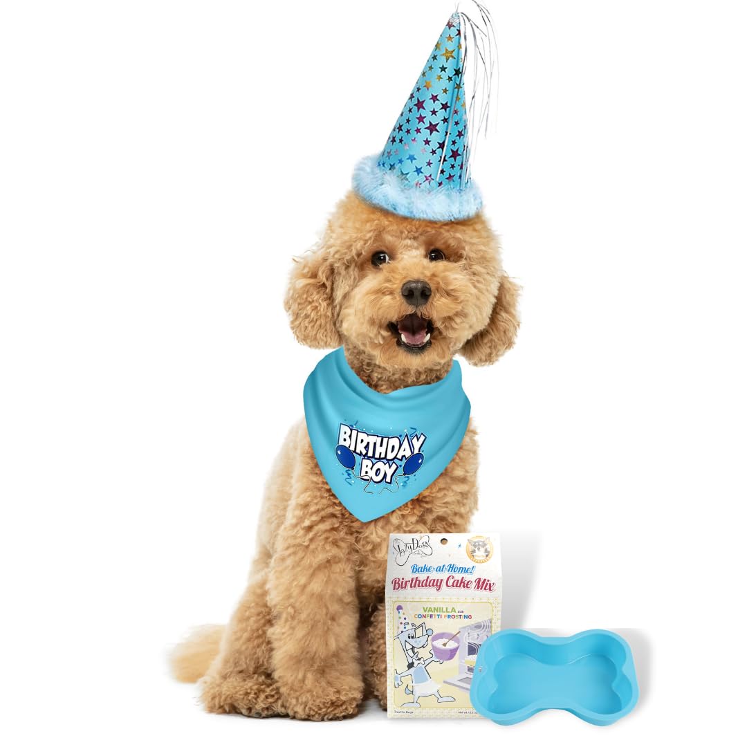 Jt Pet Dog Birthday Boy Party Pack With Bandana, Star Spangled Party Hat With Adjustable Elastic, Tassels And Feathery Trim, Bir