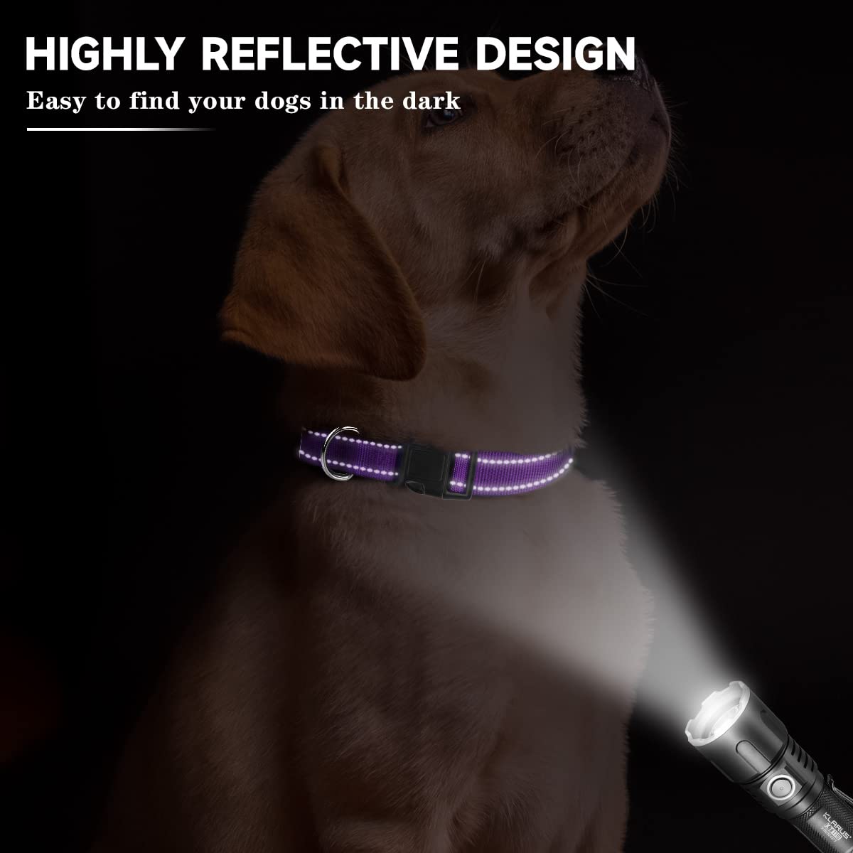 Rebnihc Reflective Dog Collar With Soft Neoprene Padded, Adjustable Nylon Dog Collar For Medium Dogs, Purple, M(3/4'' Wide, Neck 14''-21'')
