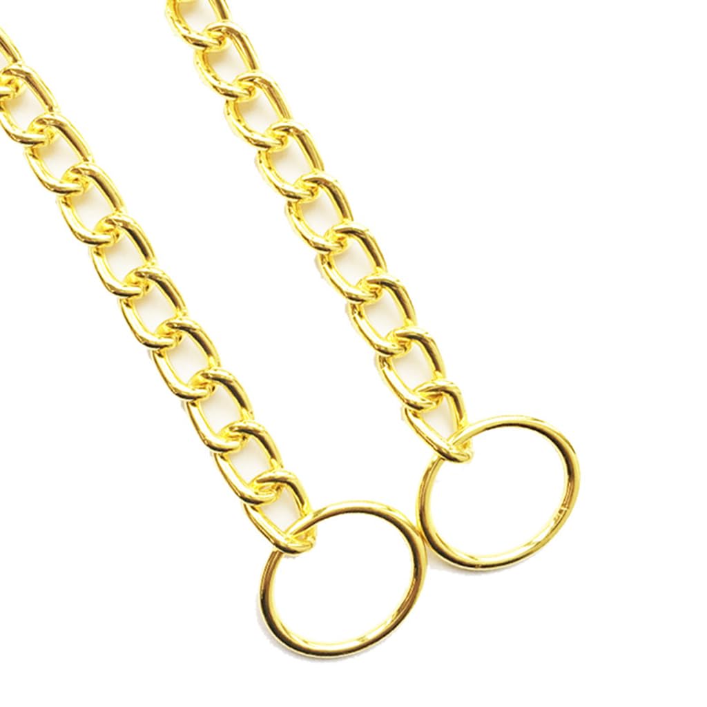 Chain Collar For Dogs, Golden Xs Metal Slip Link Training Heavy Duty Dog Collar Martingale Puppy Collars For Xxs Xs Small Medium