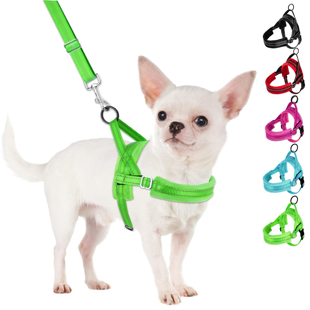 Slowton No Pull Small Dog Harness And Leash Set, Puppy Soft Vest Harness Neck & Chest Adjustable, Reflective Lightweight Harness & Anti-Twist Pet Lead Combo For Small Medium Dogs(G,S)