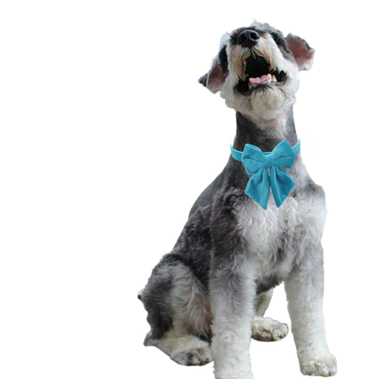 Thain Velvet Dog Collar With Style Bow Tie, Quick Release Plastic Buckle Adjustable Dog Collars For Small Medium Large Dogs Pets