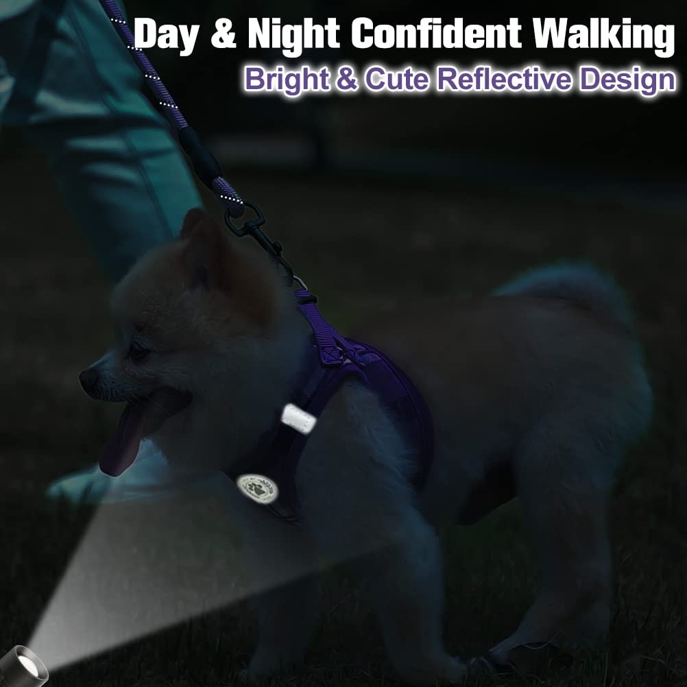 Beautyzoo Dog Harness And Leash Set,Step In No Chock No Pull Soft Mesh Reflective For Extra-Small/Small Medium Puppy Dogs And Ca