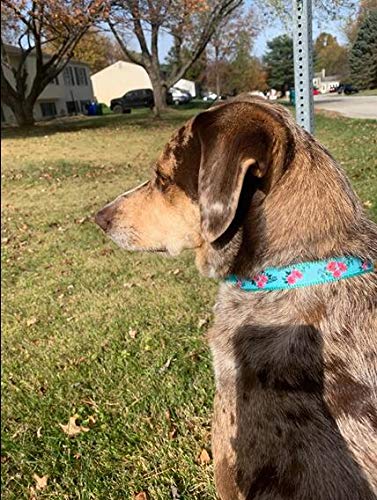Yudote Floral Dog Collars Adjustable Nylon Collar With Quick Release Buckle For Female & Male Dogs, Green, Small