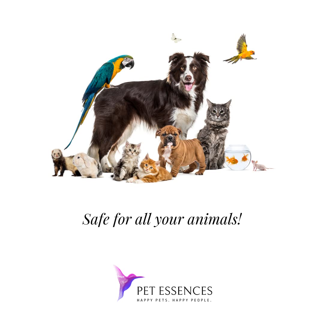 Pet Essences Thunderstorms Formula for Dogs, Cats and Horses