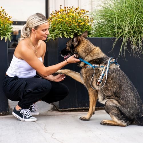 Wolfgang Heavy Duty Adjustable Dog Harness, Pull-Tested To Over 800 Lbs For Walking & Training, Overland Print, Extra Large