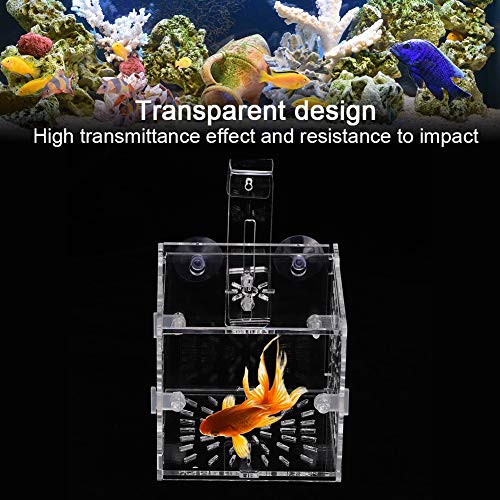 Fish Separation Breeder Box, Acrylic Transparent Fish Breeding Isolation Box Aquarium Hatchery Incubator Holder(A-10X10X10Cm)
