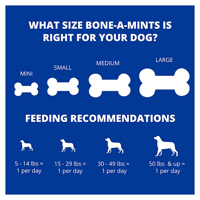 Bone-A-Mints All Natural, Wheat-Free Breath Freshening Bone, 5.60-Ounce, Mini, 16-Pack