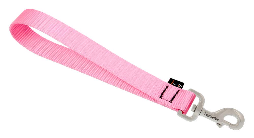 Training Tab By Lupine In 1' Wide Pink For Medium And Larger Dogs