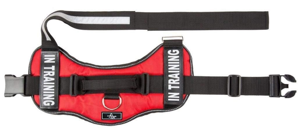 Doggie Stylz In Training Service Dog Harness With Removable Saddle Bag Backpack Pack Carrier Traveling Carrying Bag. 2 Removable In Training Patches. Please Measure Dog Before Ordering. Made