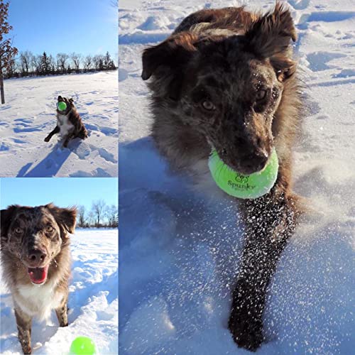 Squeaky Tennis Balls 3-Pack Medium