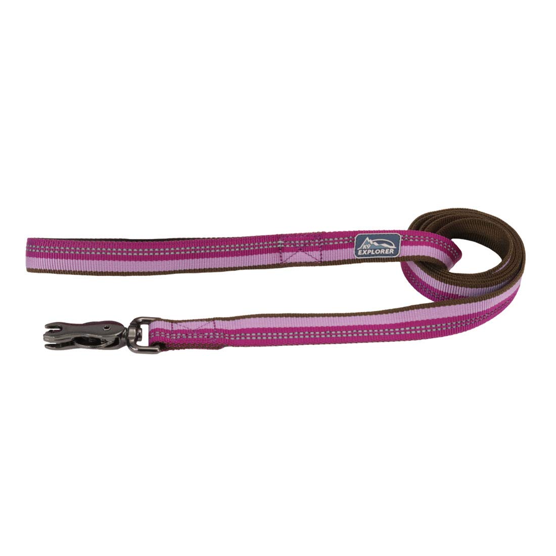 Coastal Pet K9 Explorer Reflective Dog Leash With Scissor Snap - Durable Nylon Leash - Leashes For Dogs & Puppies - Pet Supplies For Dogs - Orchid, 5/8' X 6'