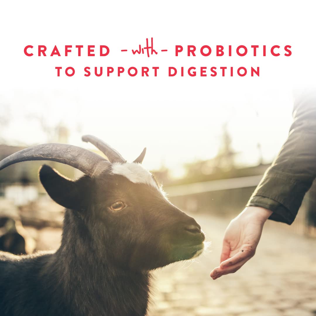 Manna Pro Apple Probiotic Goat Treat, Daily Goat Treats, Treat for Goats and Sheep, Easy to Feed, Enriched with Vitamins, Minera