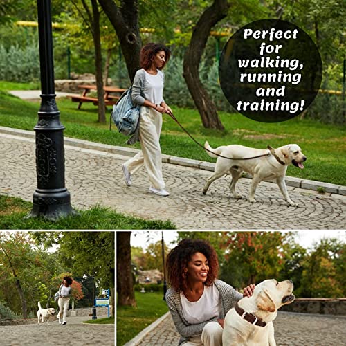 Adityna - Premium Leather Dog Leash - 6 Ft, Heavy-Duty, Soft & Strong For Small/Medium Dogs (Medium: 6 Ft X 5/8', Brown)