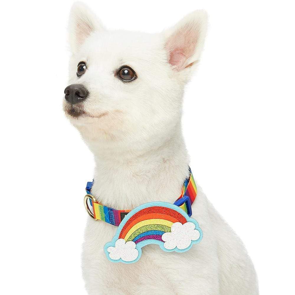 Blueberry Pet The Perfect Rainbow Adjustable Dog Collar with Blingy D  cor, Large, Neck 18''-26''