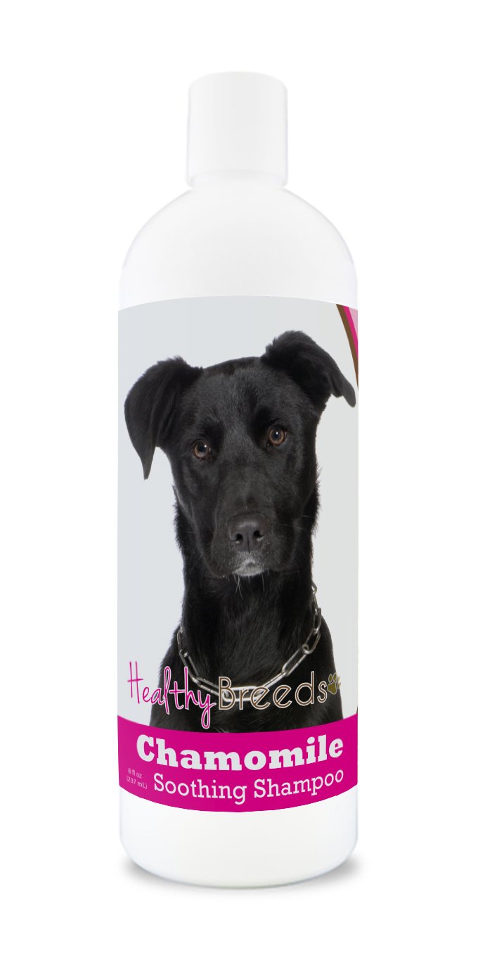 Healthy Breeds Mutt Chamomile Soothing Dog Shampoo 8 oz