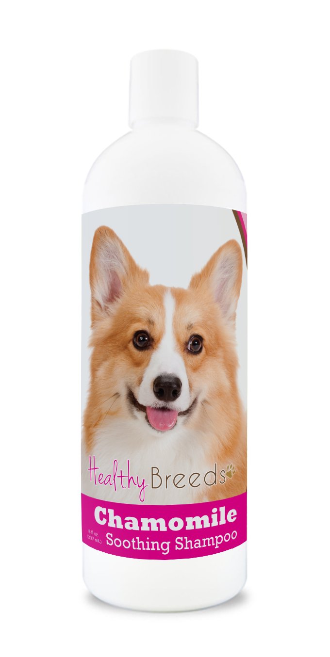 Healthy Breeds Pembroke Welsh Corgi Chamomile Soothing Dog Shampoo 8 oz