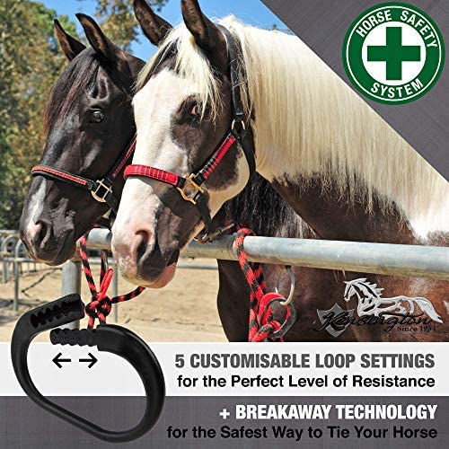 Kensington Protective Products Horse Tie