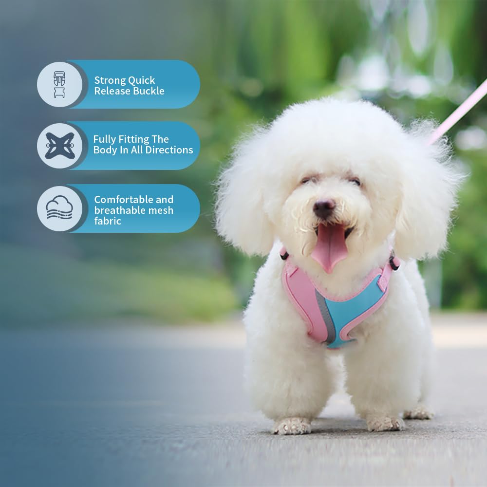 No Pull Dog Harness With Leash Set All Weather Mesh Adjustable Step In Fashion Splicing Escape Proof Vest Harness For Small And