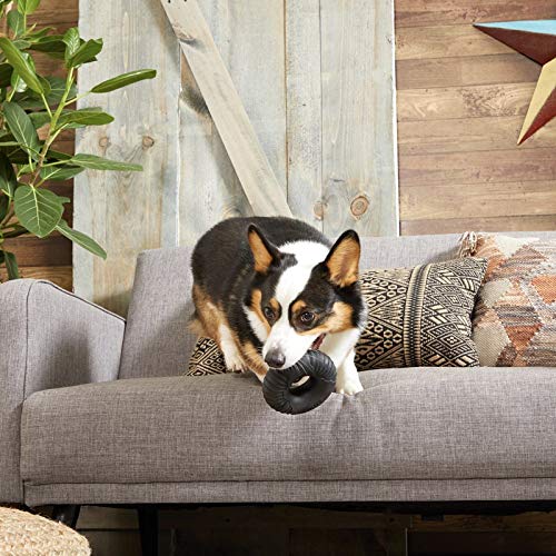 Barkbox Super Chewer Tough Dog Chew Toys For Aggressive Chewers, Dental Stimulating (Radius - Large)