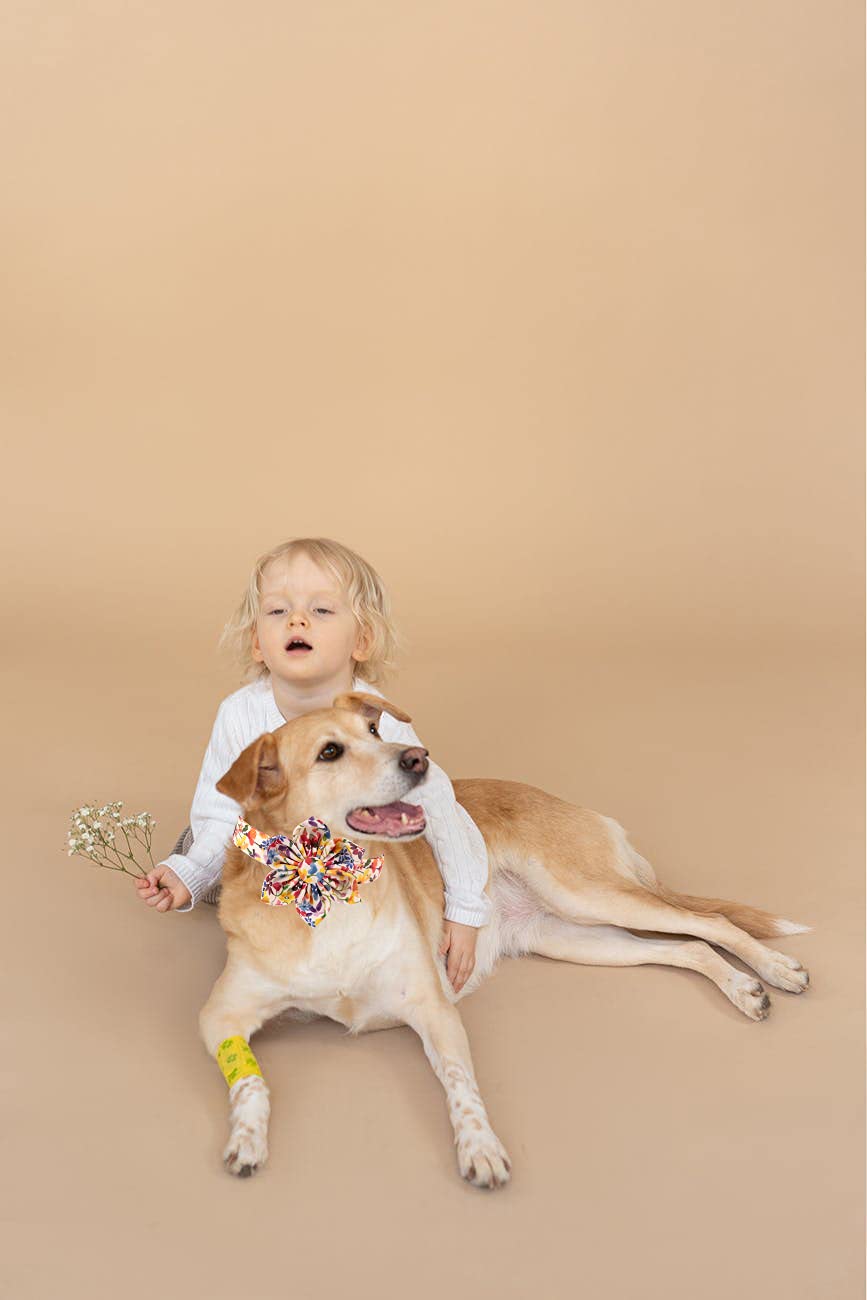 Uniqe Style Paws Flower Dog Collar, Puppy Collar Adjustable Girl Dog Collar With Flower, Durable Floral Pattern Pet Collar For X-Large Female Dogs