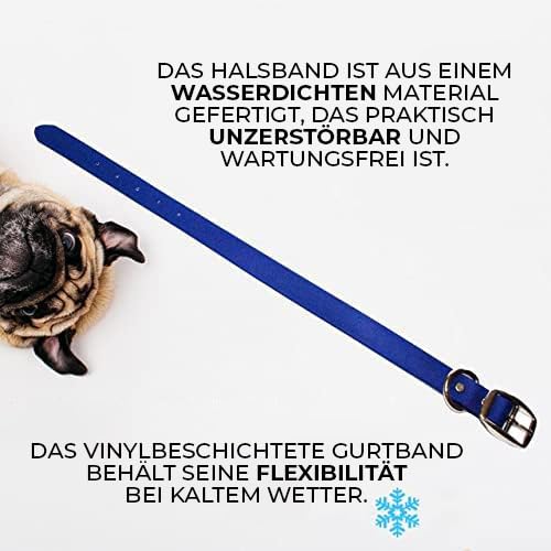 Regal Dog Products Medium Blue Waterproof Dog Collar And Leash Set | Heavy Duty Double Buckle & D Ring - 5'Ft Leash | Adjustable