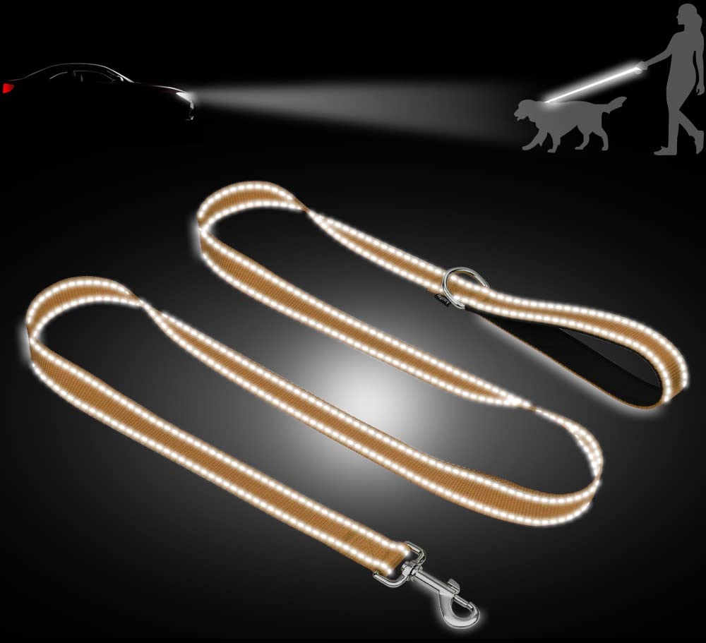Taglory Nylon Dog Leash 6Ft, Soft Padded Handle Pet Reflective Leashes For Medium Large Dogs Walking & Training,Tan