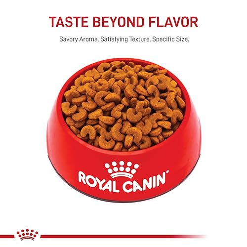 Royal Canin French Bulldog Puppy Dry Dog Food, 3 lb bag