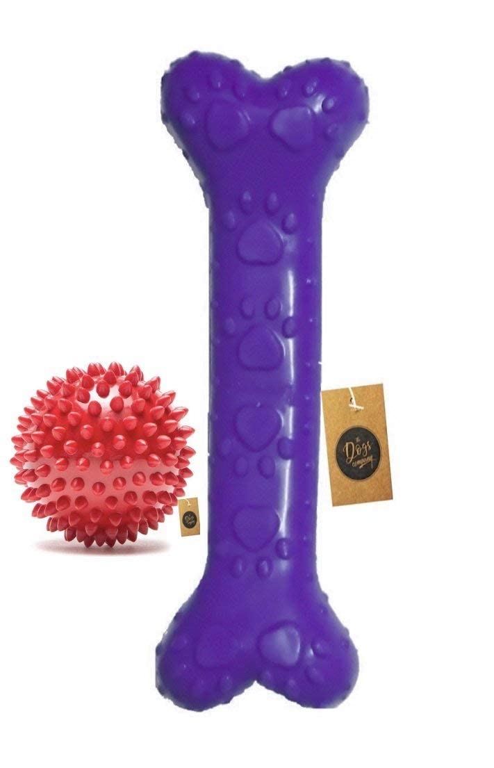 The Pets Company, Rubber Spiked Ball Dog Chew Toy and Bone Puppy Teething Toy for Small & Medium Dogs