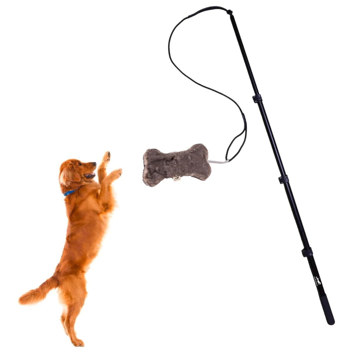 SwiftPaws Flirt Pole Toy - For Dogs - Extendable to 48    and Collapsible to 16    - All Aluminum + Paracord Line - Provides Exe