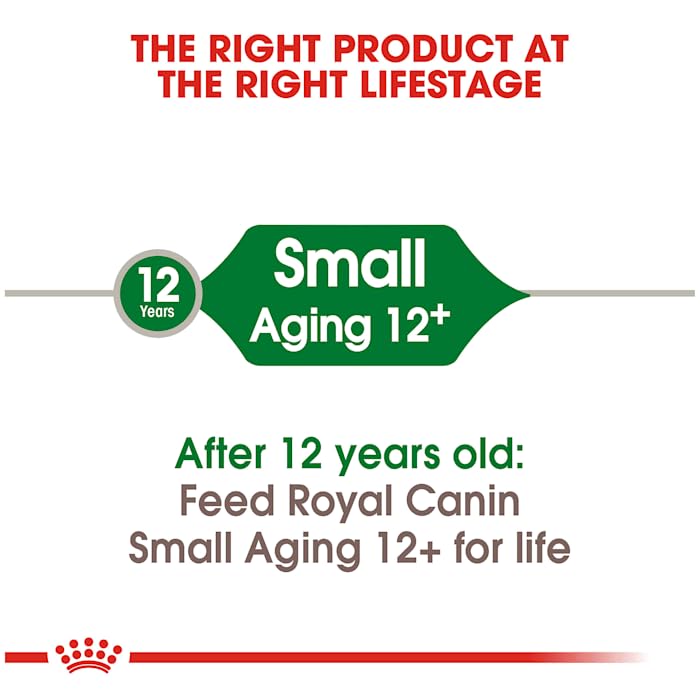 Royal Canin Small Aging 12+ Dry Dog Food, 12 lb Bag