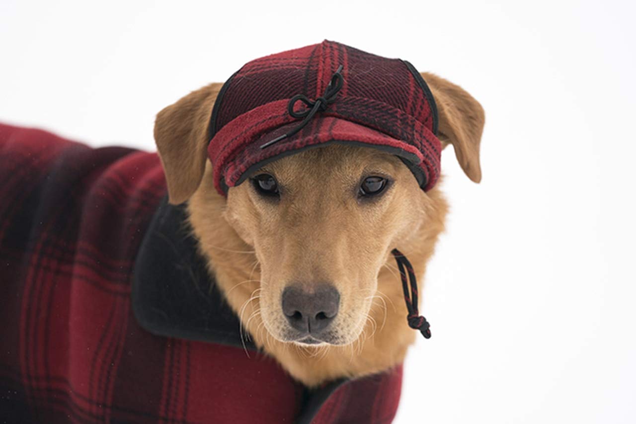 Stormy Kromer Critter Kromer for Her, Medium Blaze Orange Wool Hat, Model 54800