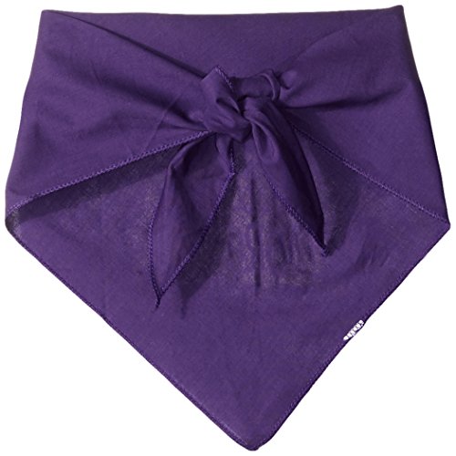 Pet and Dog Bandana Screen Printed, &quot;Dirty Dogs Have More Fun&quot; Purple Large