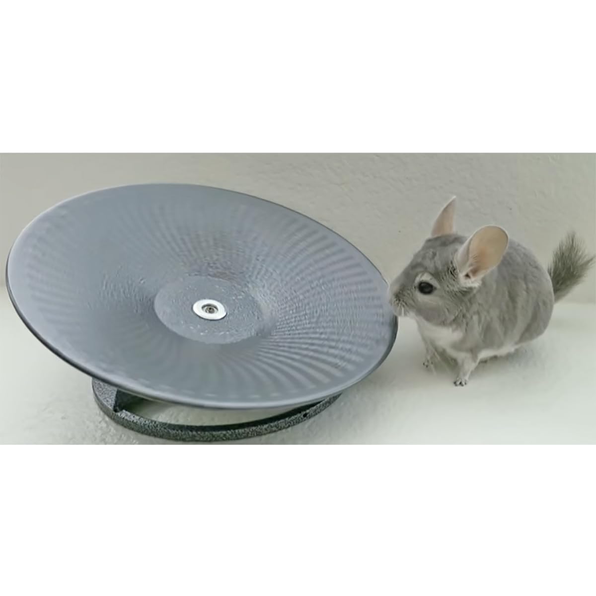 Exotic Nutrition 14 Black All Metal Treadmill Wheel for Small Pets - Silent, Smooth, Durable Exercise Wheel for Chinchillas, Hamsters & More