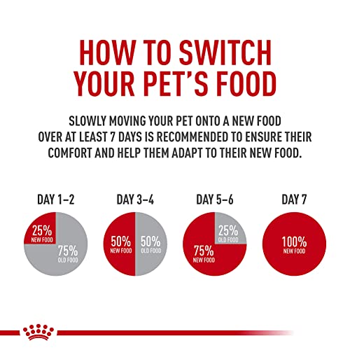 Royal Canin Feline Care Nutrition Appetite Control Care Dry Cat Food, 14 lb