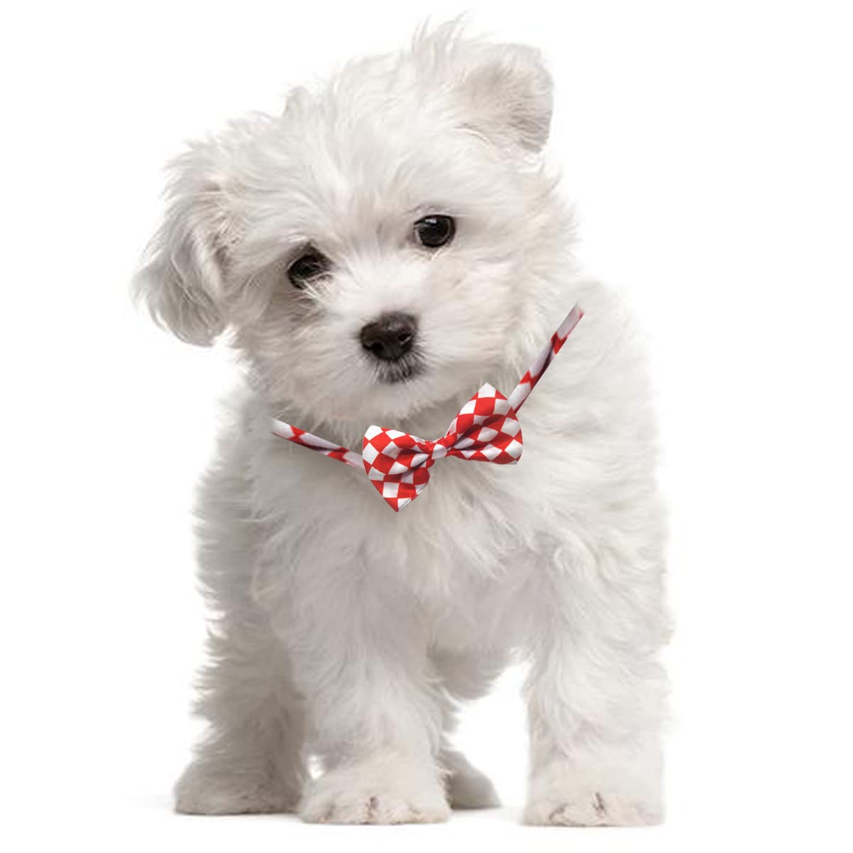 Petunny Dog Bow Ties With Adjustable,10Pcs Pet Bowties Cat Bow Ties Bulk Pet Bowties For Small Medium Boy Girl Dogs Cats Pet Grooming Accessories For Halloween Thanksgiving Christmas (Random Color)