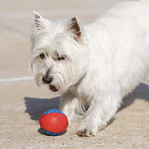 Hero Outer Armor, Durable Ball Dog Toy, Floats & Squeaks, Large - Purple & Green